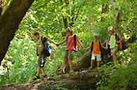 Tierfreigehege Nationalpark Bayerischer Wald